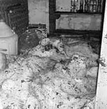 Uno dei locali invasi dalla grandine.